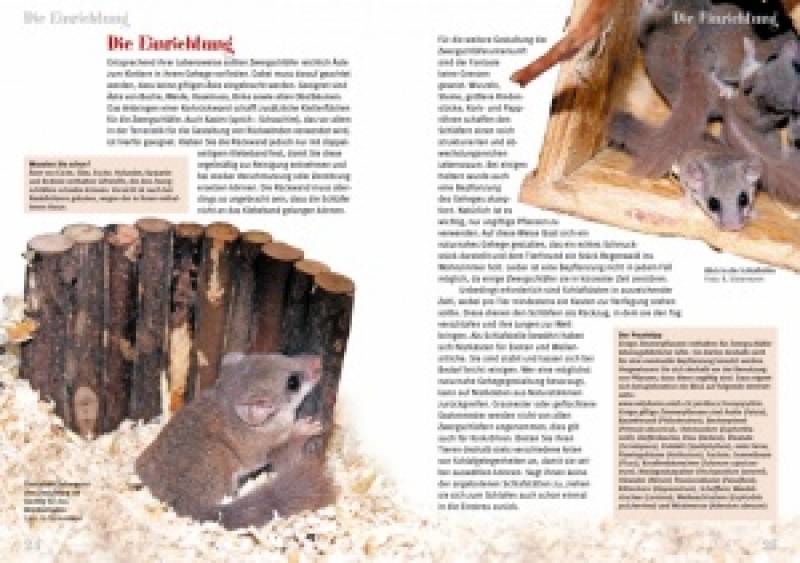 Preview: Zwergschläfer